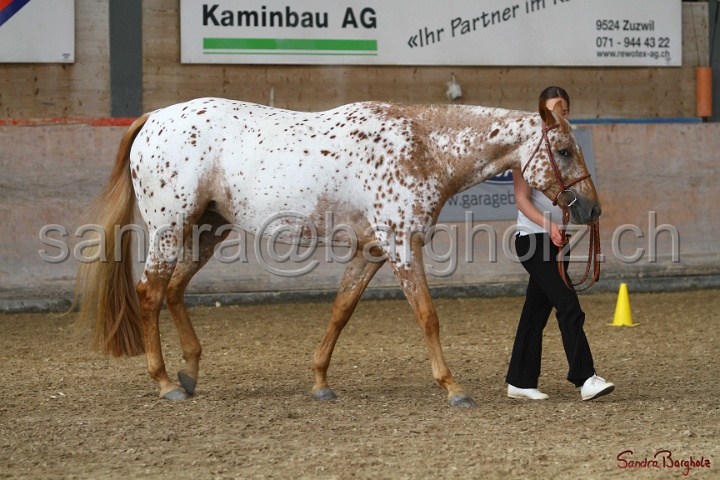 24-ApHC HIH_049.jpg